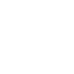 euro money icon