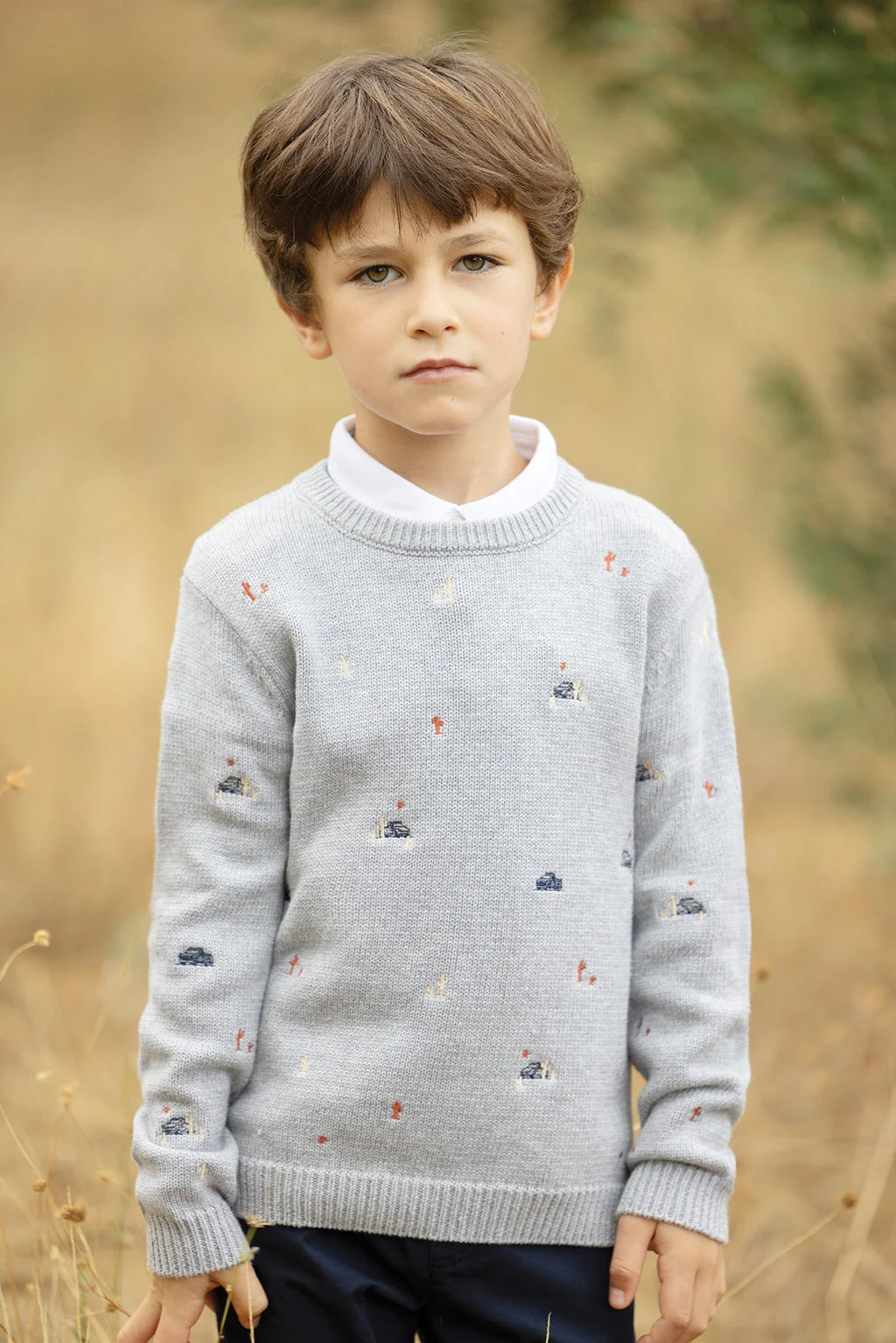 Pull gris avec imprimé